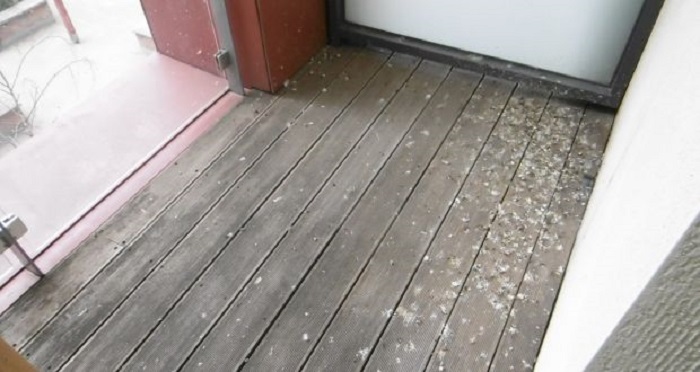 Чем отмыть помет голубей на балконе