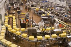 Элементы затрат и статьи затрат. Статьи затрат себестоимости продукции