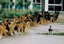 Сила воли и все, что необходимо о ней знать