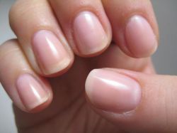 Строения ногтя и ногтевой пластины