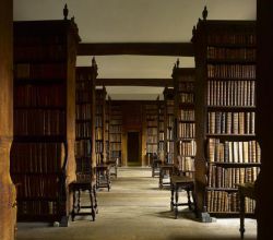 Тавтология: примеры речевых излишеств