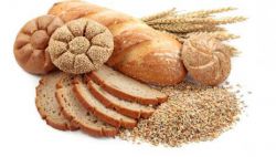 Функции углеводов. Функция углеводов в клетке