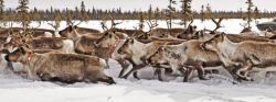 Районный коэффициент по регионам России. Районный коэффициент к заработной плате