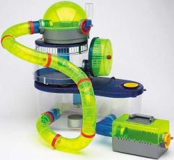 Клетки для хомяка: какую модель выбрать?