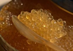 Как солить икру рыбы дома: рецепты и хитрости приготовления