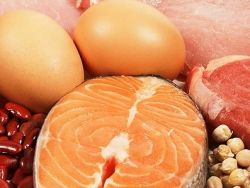 Животные и растительные продукты, богатые белком