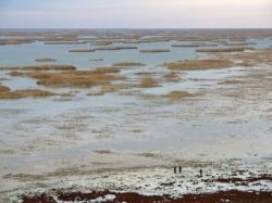 Аральское море: гибель уникального водоема