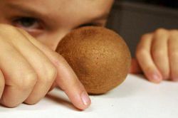 Индуктивный метод, его описание и особенности применения