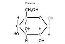 Строение и классификация углеводов