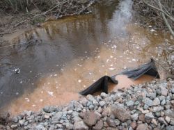 Что производит загрязнение воды