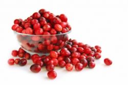 Полезна ли клюква при беременности?