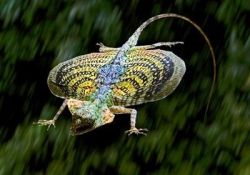 Интересные факты о животных самых разнообразных