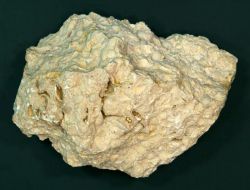 Оксид и гидроксид кальция