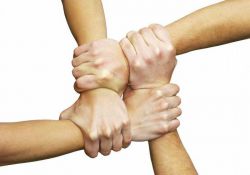 Что такое цикл? Что такое жизненный цикл?