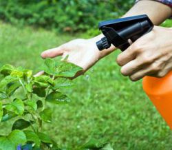 Пестициды это... Применение. Загрязнение пестицидами