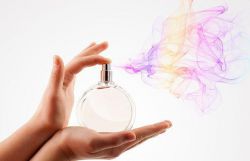 Что такое феромоны? Что такое феромоны в духах и как они действуют?