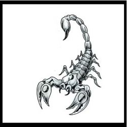 Скорпион - самый сильный знак зодиака