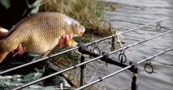 Сигнализатор поклевки – современность или традиция? 