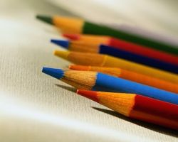 Значение цветов и их роль в жизни человека