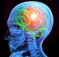 Черепно-мозговая травма: причины, симптомы, лечение