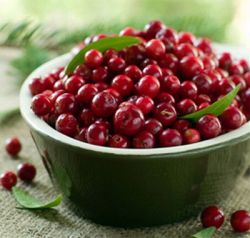 Настойка на клюкве: простой рецепт вкусного напитка