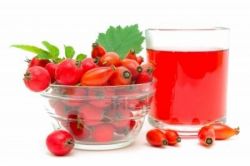 Лечебный шиповник. Противопоказания к применению