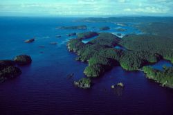 Массовая доля. Определение. Отличие от массовой доли элемента и массовой доли выхода