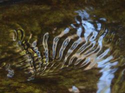 Число Рейнольдса: величина и значение