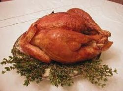 Как приготовить курицу в духовке – рецепты очень вкусных блюд