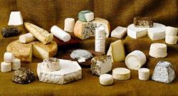 Козий сыр: история продукта, и как приготовить сыр самостоятельно