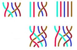 Коса из 5 прядей - эффектная прическа