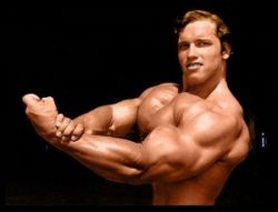 Программа для качания мышц: что нужно знать новичкам