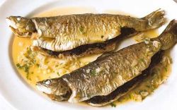 Речная форель: несколько рецептов рыбных блюд 