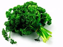 Петрушка: полезные свойства любимой зелени