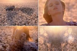 Flora by Gucci  - банальный цветочный аромат?