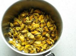 Как приготовить мидии в сливочном соусе со спагетти