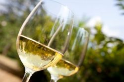 Домашнее вино из смородины. Рецепты и рекомендации 