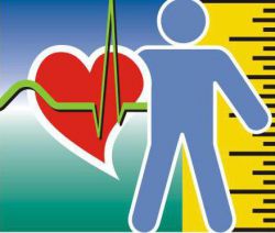 Как рассчитать индекс массы тела? Индекс массы тела: таблица, формула