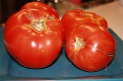 Икра из баклажанов. Как ее готовят в Одессе