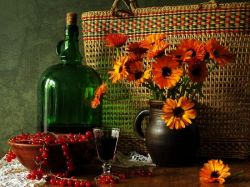 Вино из красной смородины