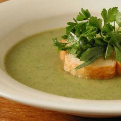 Лучший рецепт: суп-пюре из шампиньонов для вкусного обеда