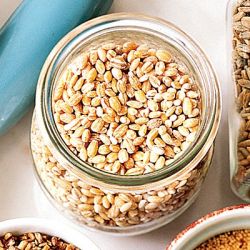 Как варить перловку, чтобы было вкусно и полезно