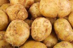 Картофель «Айдахо» - рецепт из США