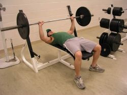 Базовые упражнения для набора массы в тренажерном зале