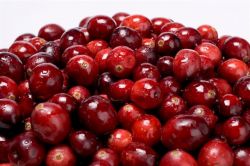 Как приготовить морс из клюквы правильно