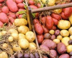 Как сварить картошку: ценные советы