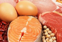  В каких продуктах больше всего белка для здорового питания