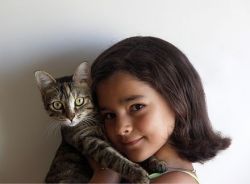 О том, сколько живут кошки с нами и без нас