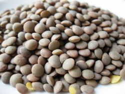 Чечевица. Рецепт вегетарианского плова “Чечевица с рисом”