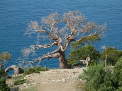 Нужен ли загранпаспорт в Крым?